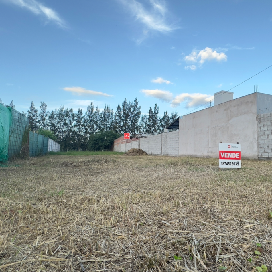 Lote en Ampliacion San Carlos