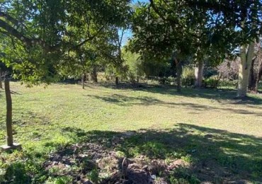 Terreno en San Lorenzo 